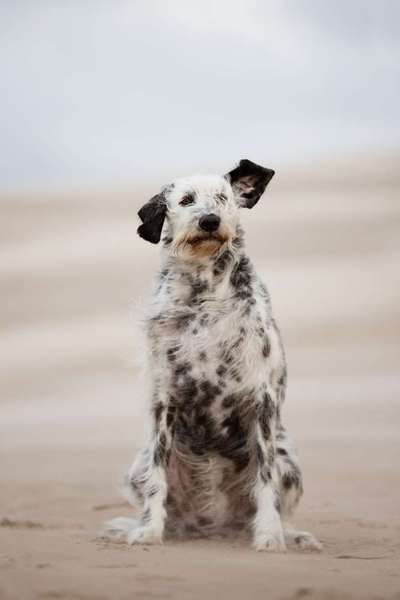 Fotochallenge Nr. 67: Euer Lieblingsbild-Beitrag-Bild