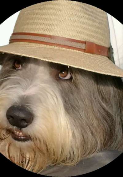 Fotochallenge Nr. 67: Euer Lieblingsbild-Beitrag-Bild