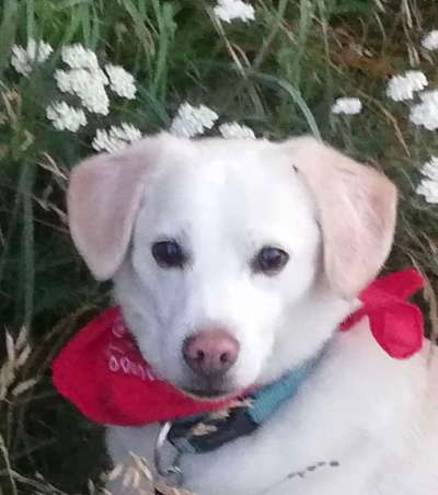 Fotochallange Nr. 57     PORTRÄT.   Beendet!!!!!!!!-Beitrag-Bild