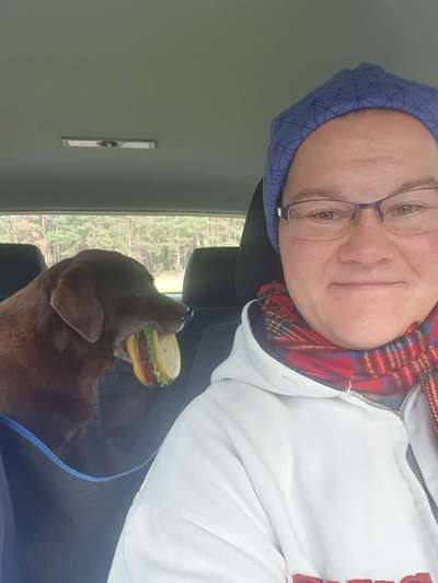 FOTOCHALLENGE 70 - Dein Hund im Auto-Beitrag-Bild