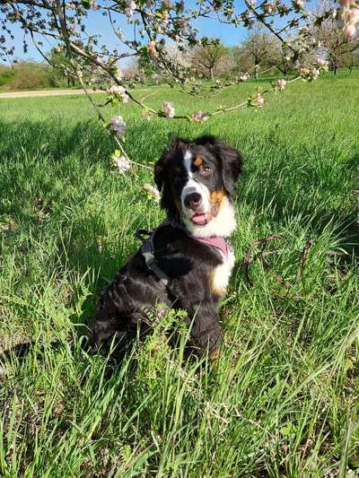 Lieblingsbild :D-Beitrag-Bild