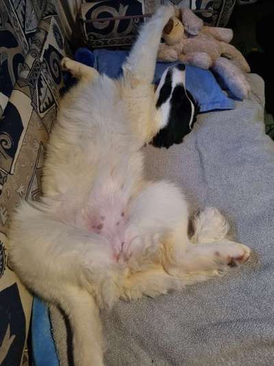 Fotochallenge Nr.65-Beitrag-Bild