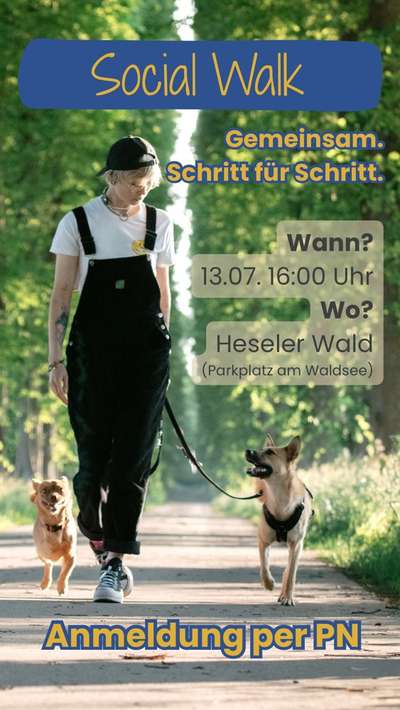 Hundetreffen-Social Walk-Bild