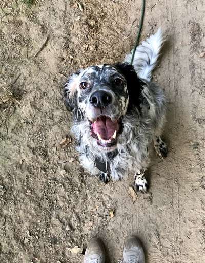 Handy-Foto Challange Nr. 10-Beitrag-Bild