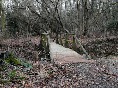 Hundeauslaufgebiet-Eisbruch Mechtersheim-Bild