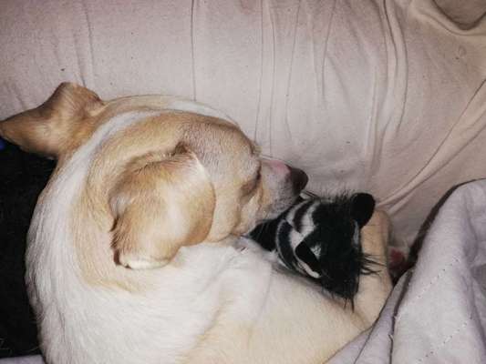 müde der kleine-Beitrag-Bild