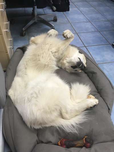 Fotochallenge Nr.65-Beitrag-Bild