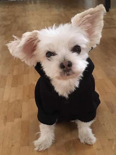 14. Farbenfoto-Challenge "Weiss"-Beitrag-Bild