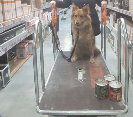 CHALLENGE NR. 18 - ON TOUR-Beitrag-Bild