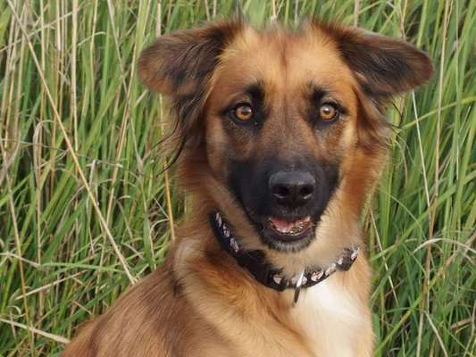 Fotochallange Nr. 57     PORTRÄT.   Beendet!!!!!!!!-Beitrag-Bild