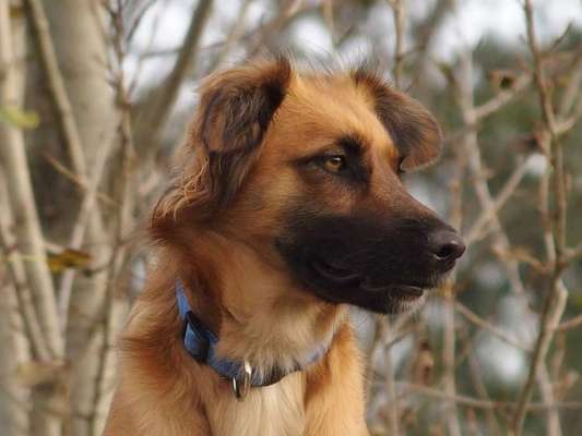 Fotowettbewerb Natur-Beitrag-Bild