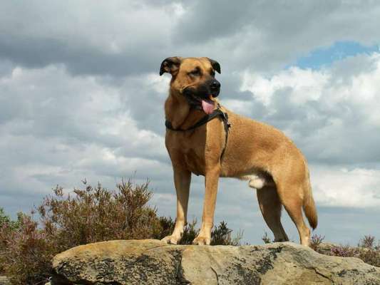 Fotowettbewerb Natur-Beitrag-Bild