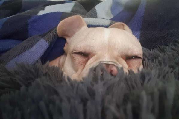 Schlafzeit!💖-Beitrag-Bild