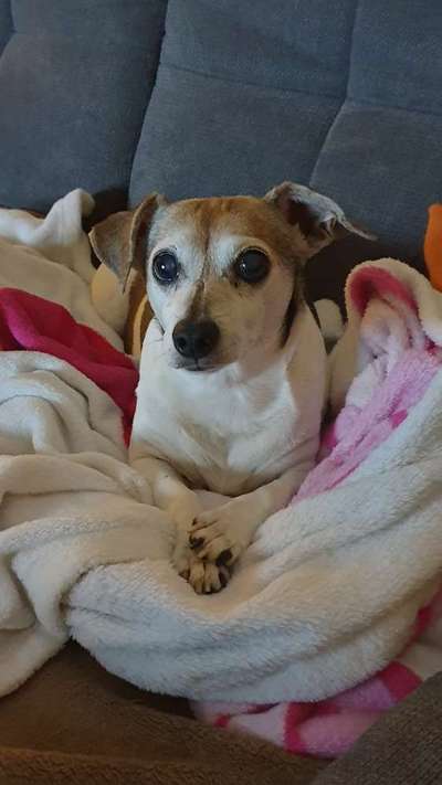 Fotochallenge Nr. 56 - geliebte Senioren-Beitrag-Bild