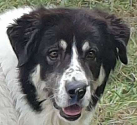 Fotochallange Nr. 57     PORTRÄT.   Beendet!!!!!!!!-Beitrag-Bild