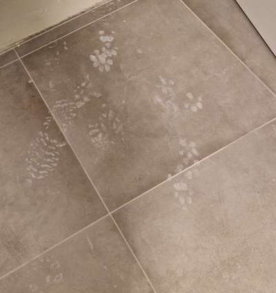 Foto Challenge Nr.135-Beitrag-Bild