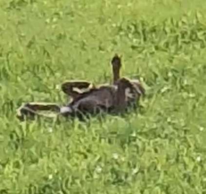 FOTO CHALLENGE Thema ,,durchdrehen"-Beitrag-Bild