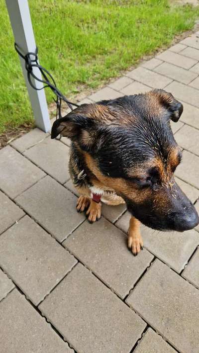 Foto Challenge Nr.133-Beitrag-Bild