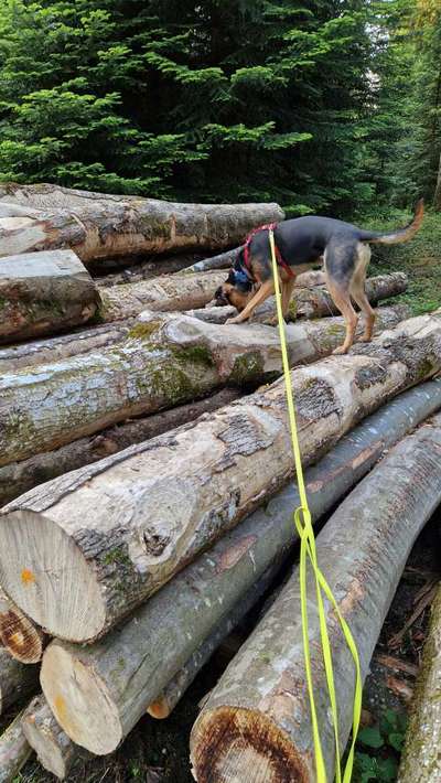 57. Handy Foto Challenge - klettern-Beitrag-Bild