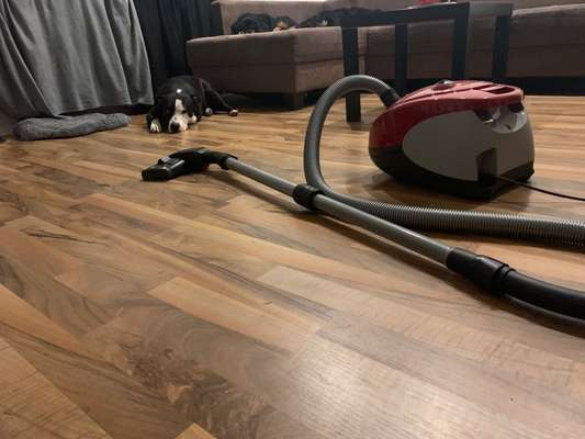 Staubsauger..-Beitrag-Bild