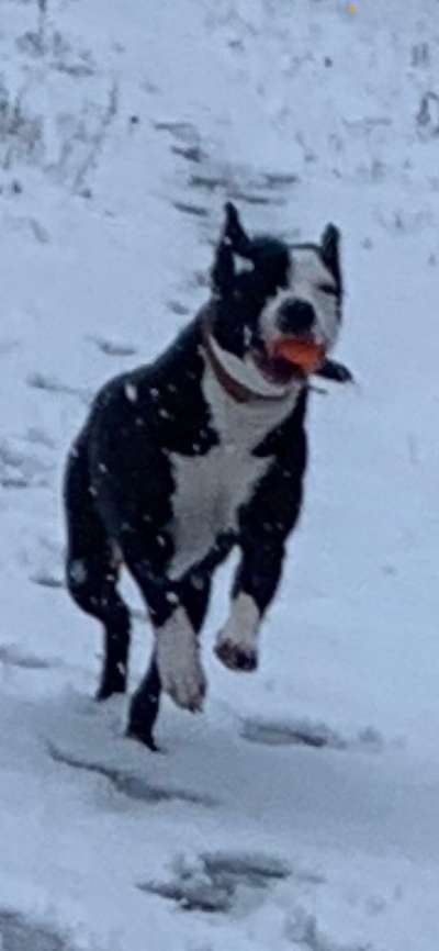 Challenge Nr. 15
Spiel im Schnee-Beitrag-Bild