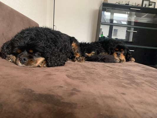 Staubsauger..-Beitrag-Bild