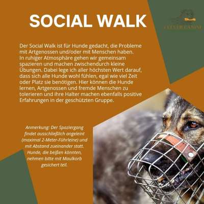 Giftköder-Social Walk-Bild