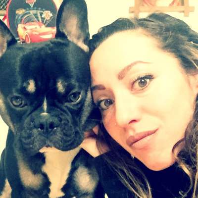 Hundetreffen-Gassi Runde in Krumbach