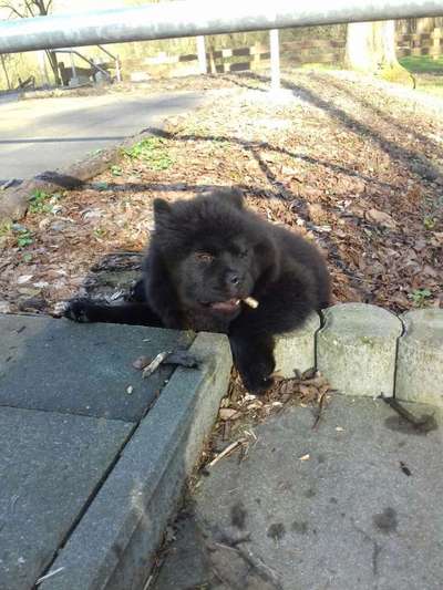 Theos Fotochallenge Nr. 3-Beitrag-Bild