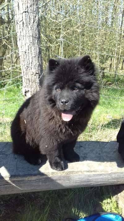 Foto-Challange No.1 - Alles aber nicht die Kamera-Beitrag-Bild