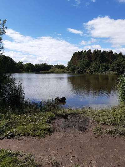 Theos Fotochallange Nummer 4-Beitrag-Bild