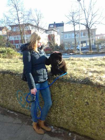 Vorher.... Nachher-Beitrag-Bild