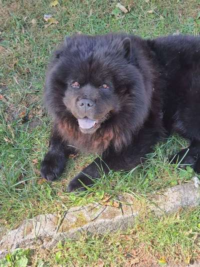 Doppelgänger gesucht !-Beitrag-Bild