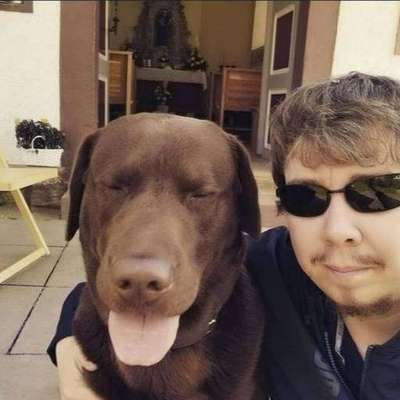 Hundetreffen-Spiel- und Gassirunde-Profilbild