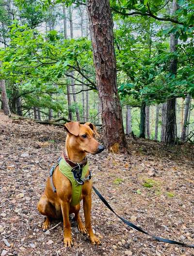Fotowettbewerb Natur-Beitrag-Bild