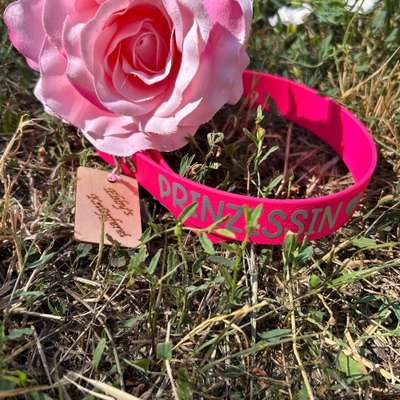 Giftköder-Halsband aus Biothane-Bild