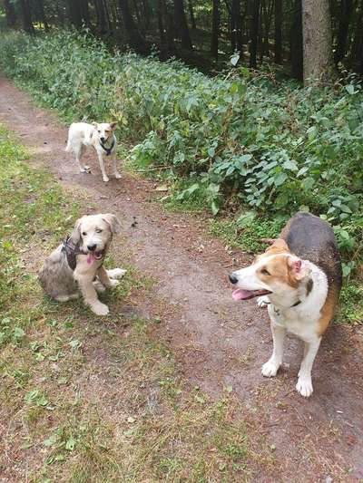 Handy-Foto-Challange Nr. 8-Beitrag-Bild