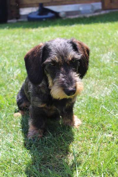 Fotochallange Nr. 57     PORTRÄT.   Beendet!!!!!!!!-Beitrag-Bild