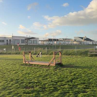 Hundeauslaufgebiet-Freilauffläche-Bild