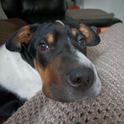 147. Foto Challenge: Bettelblick-Beitrag-Bild