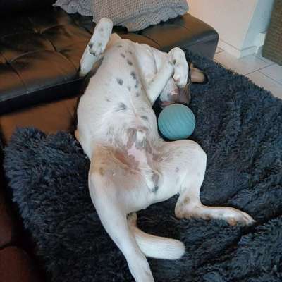 65. Handy Foto Challange                     "Ich kann nicht ohne..."-Beitrag-Bild