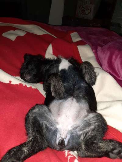 Fotochallenge Nr.65-Beitrag-Bild