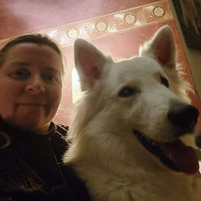 Hundetreffen-Hundekontakte