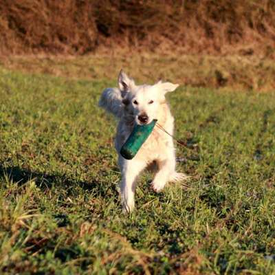 %{de_profession_title}-Beschäftigung im Alltag (Paket)-Bild