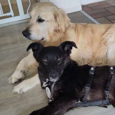 %{de_profession_title}-Duo-Training - 60 Minuten-Bild