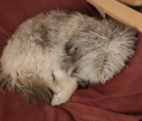 Fotochallange - Eingekugelt-Beitrag-Bild