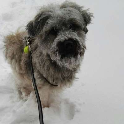 Der erste Schnee, zeigt uns eure tollen Schneemomente-Beitrag-Bild