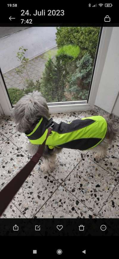 21. Farben / Foto Challenge - Neon / Leuchtfarben-Beitrag-Bild