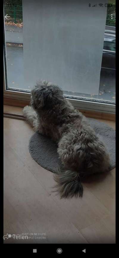 120. Fotochallenge-Beitrag-Bild