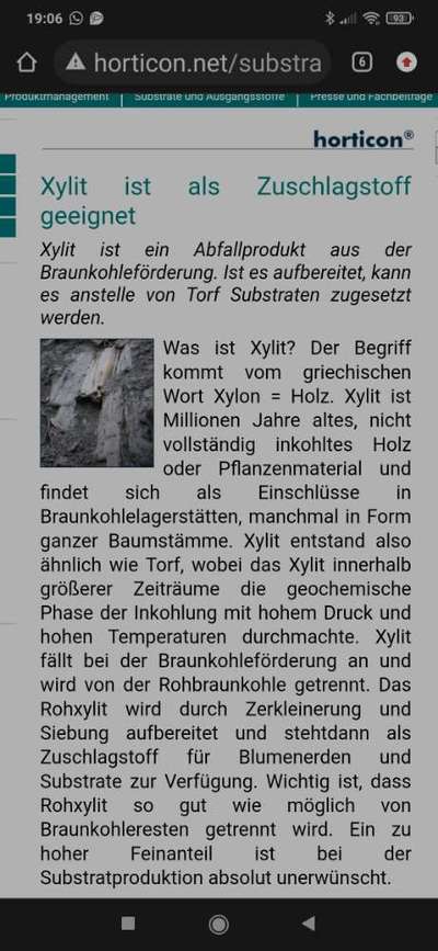 Blumenerde mit Xylit gefressen-Beitrag-Bild